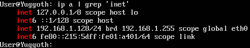 Example output of ip a | grep 'inet'